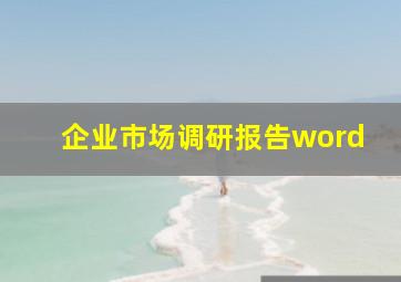 企业市场调研报告word