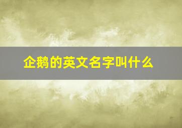 企鹅的英文名字叫什么