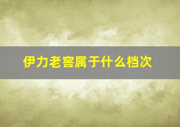 伊力老窖属于什么档次