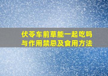 伏苓车前草能一起吃吗与作用禁忌及食用方法