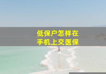 低保户怎样在手机上交医保