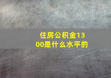 住房公积金1300是什么水平的