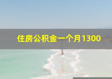 住房公积金一个月1300