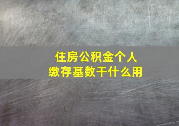 住房公积金个人缴存基数干什么用