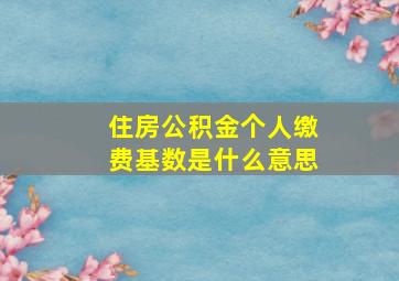 住房公积金个人缴费基数是什么意思