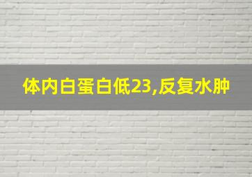 体内白蛋白低23,反复水肿