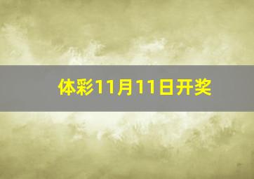 体彩11月11日开奖