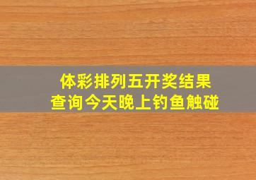 体彩排列五开奖结果查询今天晚上钓鱼触碰