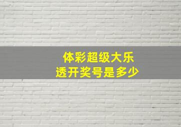 体彩超级大乐透开奖号是多少