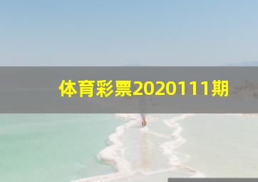 体育彩票2020111期