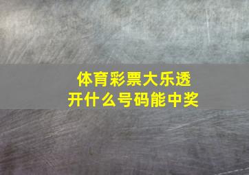 体育彩票大乐透开什么号码能中奖