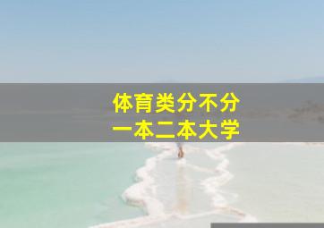 体育类分不分一本二本大学