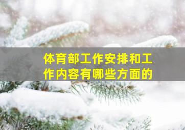 体育部工作安排和工作内容有哪些方面的