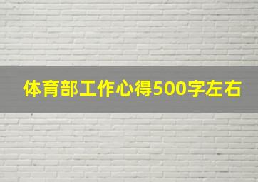 体育部工作心得500字左右