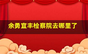 余勇宜丰检察院去哪里了