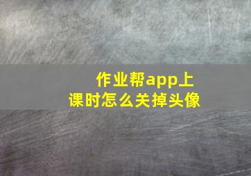 作业帮app上课时怎么关掉头像