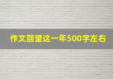 作文回望这一年500字左右