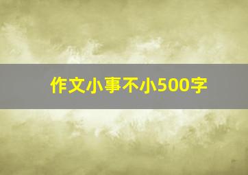 作文小事不小500字