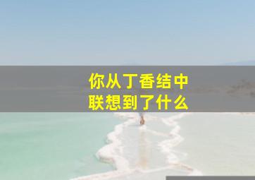 你从丁香结中联想到了什么