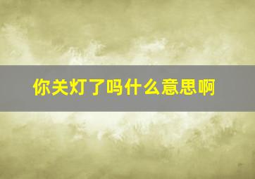 你关灯了吗什么意思啊