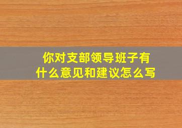 你对支部领导班子有什么意见和建议怎么写