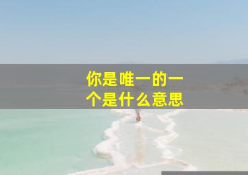 你是唯一的一个是什么意思