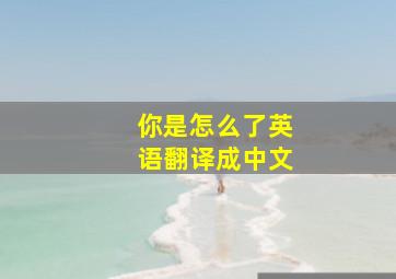 你是怎么了英语翻译成中文