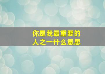 你是我最重要的人之一什么意思