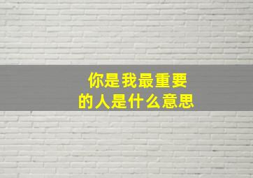 你是我最重要的人是什么意思