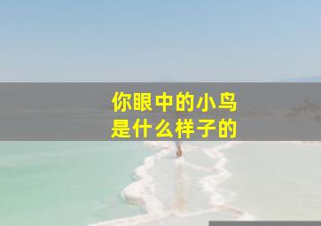 你眼中的小鸟是什么样子的