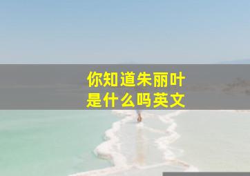 你知道朱丽叶是什么吗英文