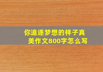 你追逐梦想的样子真美作文800字怎么写