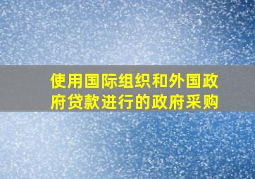 使用国际组织和外国政府贷款进行的政府采购