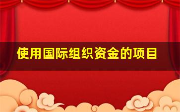 使用国际组织资金的项目