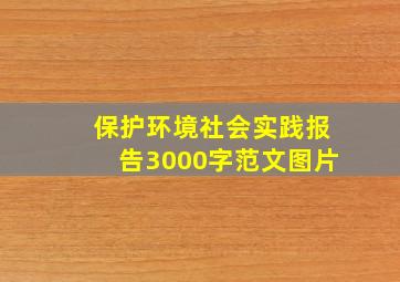 保护环境社会实践报告3000字范文图片