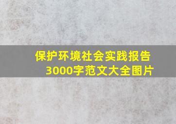 保护环境社会实践报告3000字范文大全图片