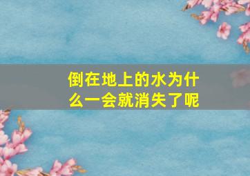 倒在地上的水为什么一会就消失了呢