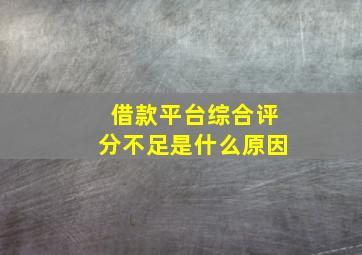 借款平台综合评分不足是什么原因