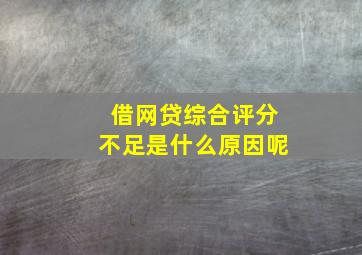 借网贷综合评分不足是什么原因呢