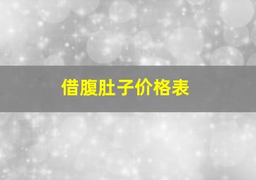 借腹肚子价格表