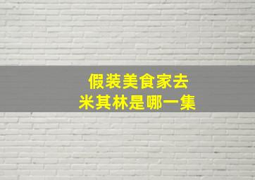 假装美食家去米其林是哪一集