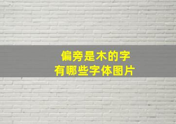 偏旁是木的字有哪些字体图片