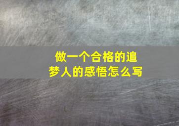 做一个合格的追梦人的感悟怎么写