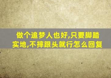 做个追梦人也好,只要脚踏实地,不摔跟头就行怎么回复