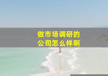 做市场调研的公司怎么样啊