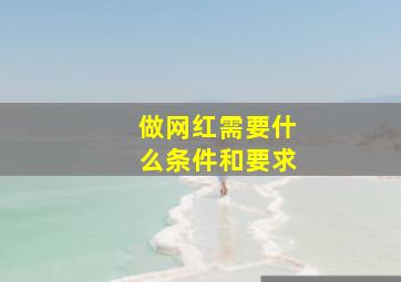 做网红需要什么条件和要求