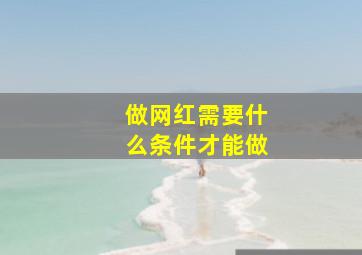 做网红需要什么条件才能做