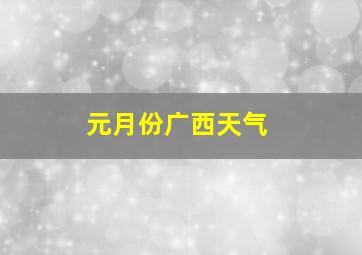 元月份广西天气