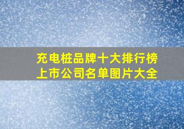 充电桩品牌十大排行榜上市公司名单图片大全