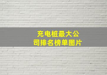 充电桩最大公司排名榜单图片